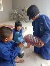 16098_0.jpg