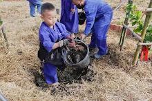 671216 สมุนพระราม ห่มดินสวนน่ารักด้วยฟางข้าว วัดระดับน้ำคลองไส้ไก่ 97.jpg