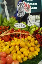 680322 ตลาดนัดวิชาการ สส.ธ. 214.jpeg