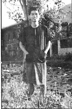 3-194.jpg