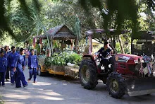 671229 ขบวนแห่พืชพันธุ์ธัญญาหารในงานเพื่อฟ้าดิน 86.JPG