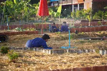 680103 สมุนพระรามดูแลสวนเช้า เย็น เปียหม่องเริ่มทำน้ำตก 57.jpg
