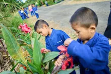 671228 สมุนพระรามเข้าค่าย เรียนการปรับปรุงพันธุ์พุทธรักษา เล่นเกมกินวิบาก พาทัวร์รถราง 43.jpg
