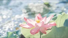 ประโยคทองของพ่อครู EP 121 เป้าหมายหลักของพระพุทธเจ้าคืออะไร?-_.mp4
