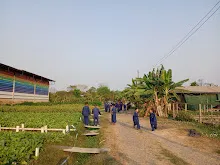 LINE_ALBUM_680219 สมุนพระรามเก็บหัวไชเท้า_250225_12.jpg