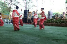 671229 การแสดงภาคค่ำงานกสิกรรมเพื่อฟ้าดิน 4.JPG