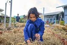 671210 สมุนพระรามขนฟางปูสวนครอบครัวน่ารัก 69.jpg