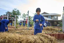 671210 สมุนพระรามขนฟางปูสวนครอบครัวน่ารัก 73.jpg