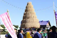 671229 ขบวนแห่พืชพันธุ์ธัญญาหารในงานเพื่อฟ้าดิน 144.JPG