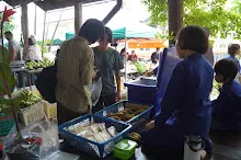 680629 สมุนพระราม ฝึกพาณิชย์บุญนิยม ขายสินค้า อุทยานบุญนิยม 4-2568 102.jpeg