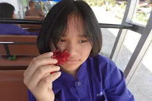 680202 สสธ.ม.3 ฝึกหัดเพาะชำต้นไม้แบบควบแน่น ไปสวนไวพลัง 395.JPG