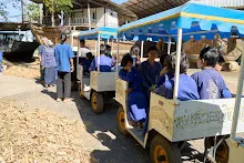 671228 สมุนพระรามเข้าค่าย เรียนการปรับปรุงพันธุ์พุทธรักษา เล่นเกมกินวิบาก พาทัวร์รถราง 326.jpg