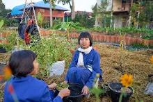 680608 สมุนพระรามเก็บเมล็ดพันธุ์ดอกไม้กินได้ที่สวน ไปขนดินปลูก 6.jpg