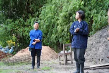 A7C01713.jpg