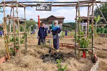 671216 สมุนพระราม ห่มดินสวนน่ารักด้วยฟางข้าว วัดระดับน้ำคลองไส้ไก่ 85.jpg