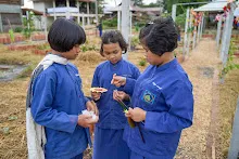 671214 สมุนพระรามทำสวนเช้า พบคณะสมณะเพาะพุทธมาเยี่ยมสวน 34.jpeg