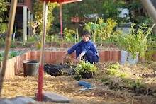 680110 สมุนพระราม ทำ 5 ส ปลูกต้นองุ่น ปรับปรุงแปลงดอกไม้ 94.jpg