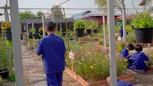 680221 สมุนพระรามเรียนรู้การสังเกตอาการผิดปกติของพืชในสวน 8.jpg
