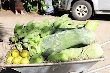 671229 ขบวนแห่พืชพันธุ์ธัญญาหารในงานเพื่อฟ้าดิน 8.JPG