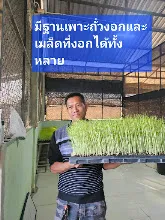 680210 ประชุมการศึกษาบุญนิยม ที่เนินพอกิน งานพุทธา 27.jpeg