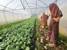 680206 ไปดูกสิกรรมเนินพอกิน 42.jpeg