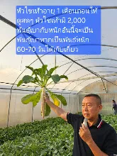 680210 ประชุมการศึกษาบุญนิยม ที่เนินพอกิน งานพุทธา 22.jpeg