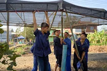 680123 สสธ.ม.4 ช่วยกางเต๊นท์เรือนเพาะชำสวนครอบครัวน่ารัก 8.jpg