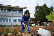 671207 สมุนพระรามทำสวนครอบครัวน่ารัก รดน้ำ เพราะกล้า ถมบ่อ 8.jpg