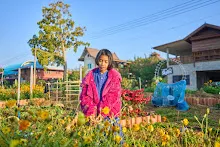 680608 สมุนพระรามเก็บเมล็ดพันธุ์ดอกไม้กินได้ที่สวน ไปขนดินปลูก 85.jpg