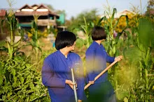 680120 สสธ.ม.4 ชาวชุมชน ถางหญ้า ทำแปลงสวนทำกิน 34.jpg