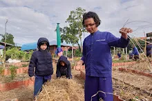 671216 สมุนพระราม ห่มดินสวนน่ารักด้วยฟางข้าว วัดระดับน้ำคลองไส้ไก่ 68.jpg