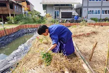 671216 สมุนพระราม ห่มดินสวนน่ารักด้วยฟางข้าว วัดระดับน้ำคลองไส้ไก่ 83.jpg