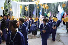 IMG_9955.JPG