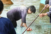 680511 ภาพโฮมแฮงขัดนำตกองค์พระพุทธธาในวันวิสาขฯ 55.jpeg
