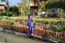 680117 สมุนพระรามปรับปรุงสวน ทาสีเสาป้ายสวนครอบครัวน่ารัก 27.jpg