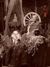 0145 0219_011.JPG