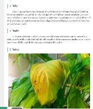 680221 สมุนพระรามเรียนรู้การสังเกตอาการผิดปกติของพืชในสวน 50.png
