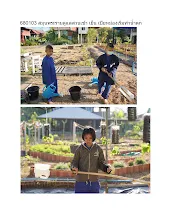 680103 สมุนพระรามดูแลสวนเช้า เย็น เปียหม่องเริ่มทำน้ำตก