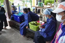 680713 สมุนพระราม ฝึกพาณิชย์บุญนิยม ขายสินค้า อุทยานบุญนิยม 5-2568 57.jpeg