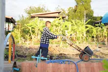 680110 สมุนพระราม ทำ 5 ส ปลูกต้นองุ่น ปรับปรุงแปลงดอกไม้ 75.jpg