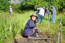 671021 วันบวร รวมสี ถางหญ้า สวนเพื่อฟ้าดิน47.jpg