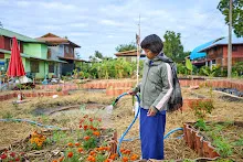 671216 สมุนพระราม ห่มดินสวนน่ารักด้วยฟางข้าว วัดระดับน้ำคลองไส้ไก่ 14.jpg