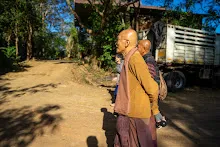 A7207182.jpg