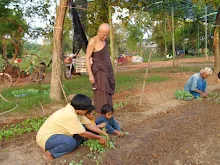 9947 1009_009.JPG