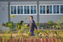 680110 สมุนพระราม ทำ 5 ส ปลูกต้นองุ่น ปรับปรุงแปลงดอกไม้ 61.jpg