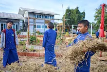 671210 สมุนพระรามขนฟางปูสวนครอบครัวน่ารัก 60.jpg