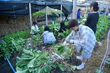 680209-12 นร. Horizon Middle School จาเกาหลี ศึกษาวัฒนธรรมบุญนิยม  บ้านราช 69.jpg
