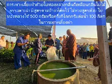 680209 เดินตามรอยโพธิสัตว์ งานพุทธาฯปฐมอโศก ต้นทองหลาง สังเคราะห์แสง 34.jpeg