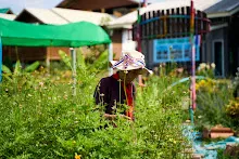 680419 ครูดีไม่มีอบายมุข รุ่น 14 เข้า work shop สวนครอบครัวน่ารัก 358.jpg
