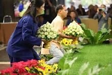 IMG_0081.JPG
